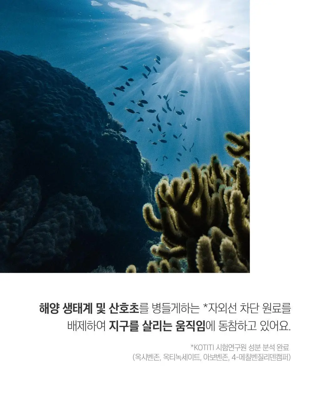 [생기촉촉] 라운드랩 자작나무 수분 톤업선크림 50ml 기획 (+클렌저 20ml) 상세페이지 16